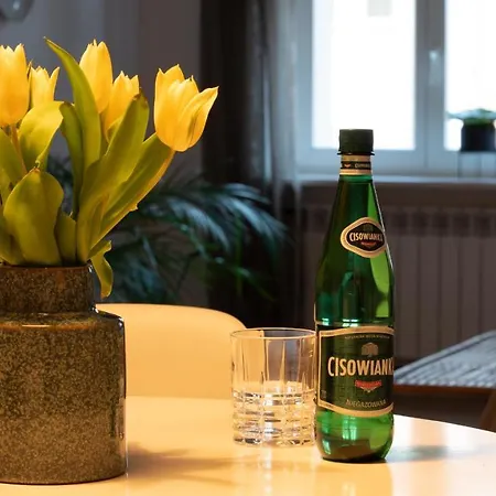 Appartamento Cocorico Poznań