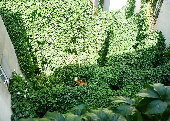 Cocorico Apartments *