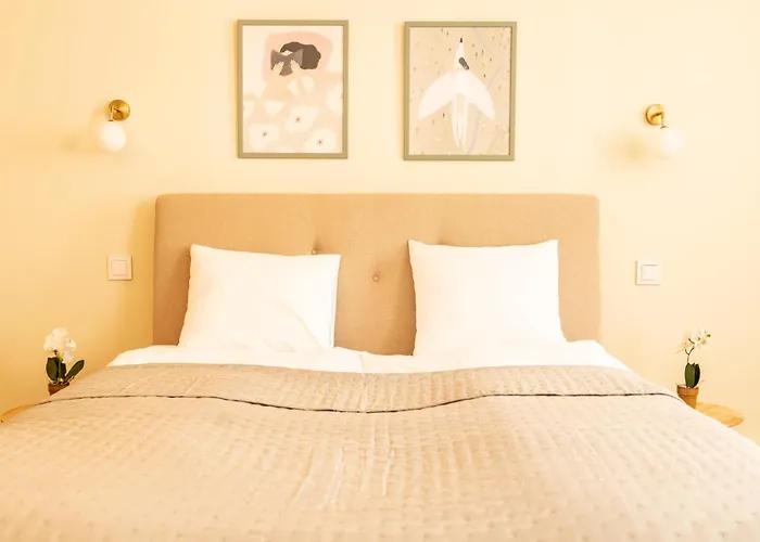 Appartement Cocorico *