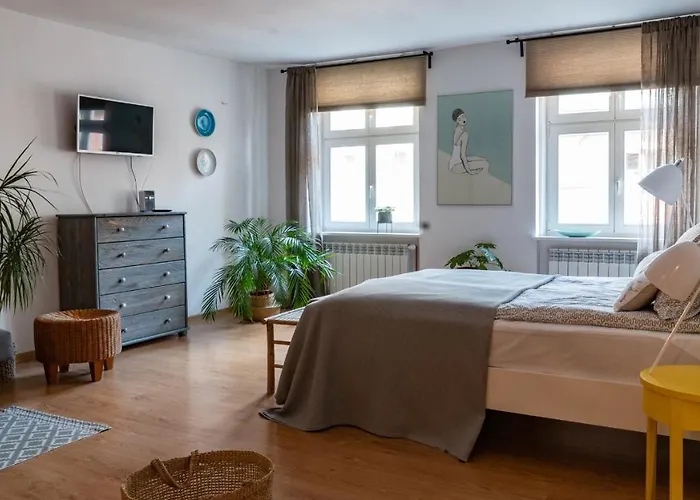 Appartement Cocorico *