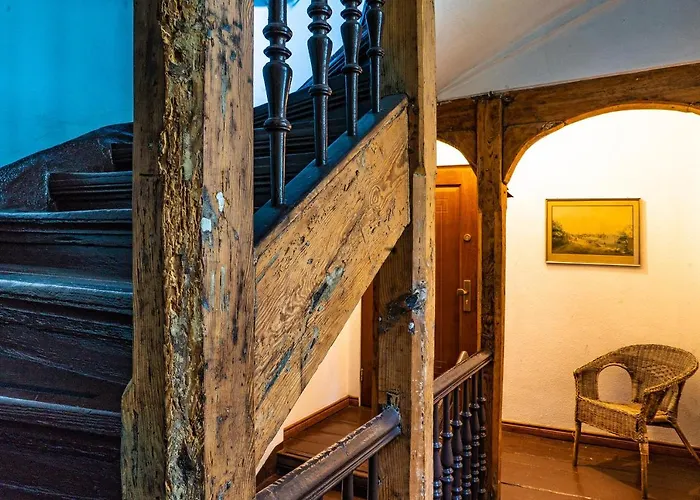 Appartement Cocorico *